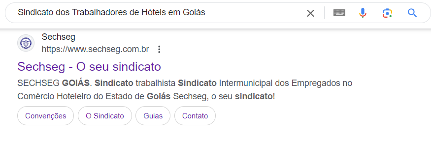 Captura de tela (print) do Google, com a pesquisa "Sindicato dos trabalhadores de hotéis em Goiânia" e a primeira correspondência sendo o site do Sechseg. 